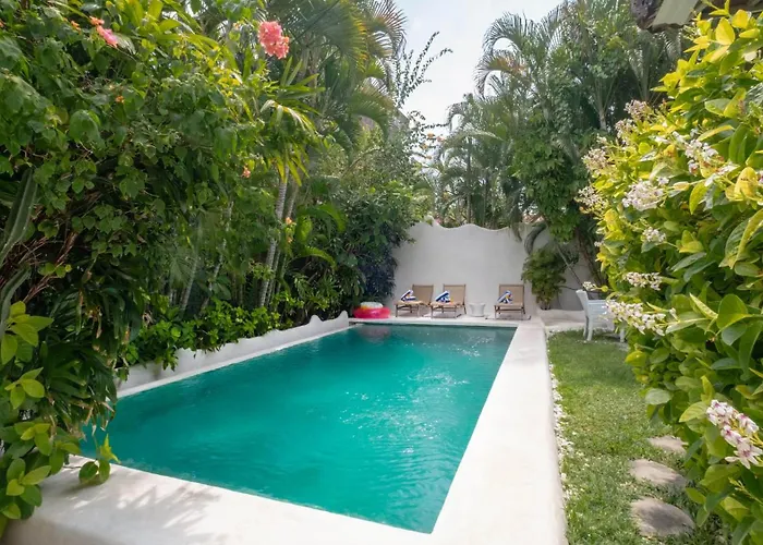 Ocean Luxury - *